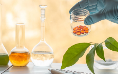 Boom des innovations en compléments alimentaires révolutionne notre bien-être quotidien